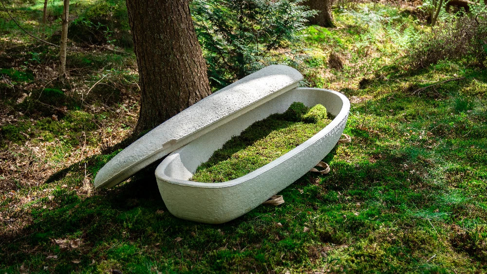 Ecoffins Working With Loop Biotech Mushroom Coffins