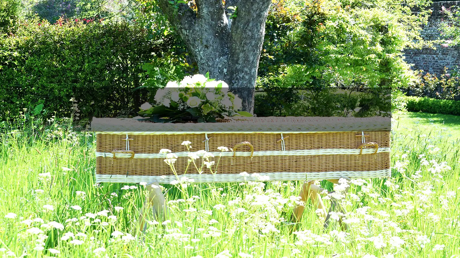 Planning a Funeral the Earth-Friendly Way: A Guide for Eco-Conscious Families