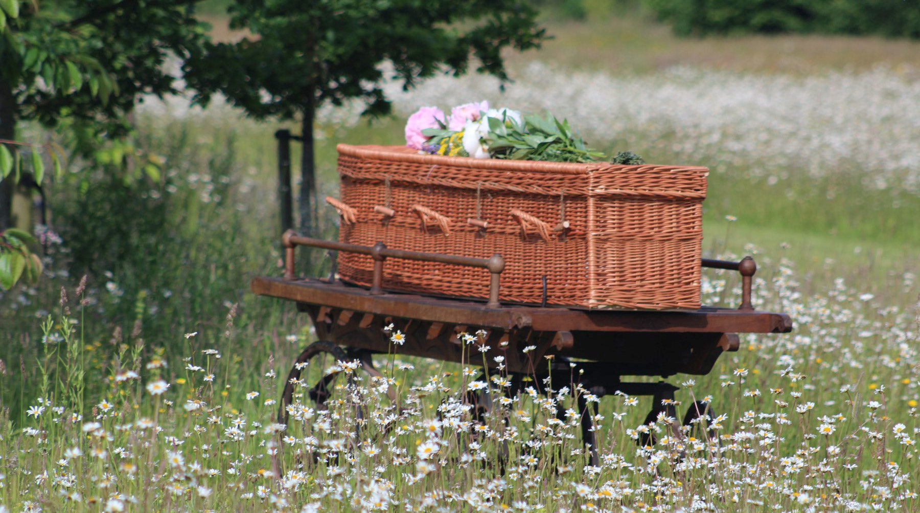 Eco Friendly Funeral Methods