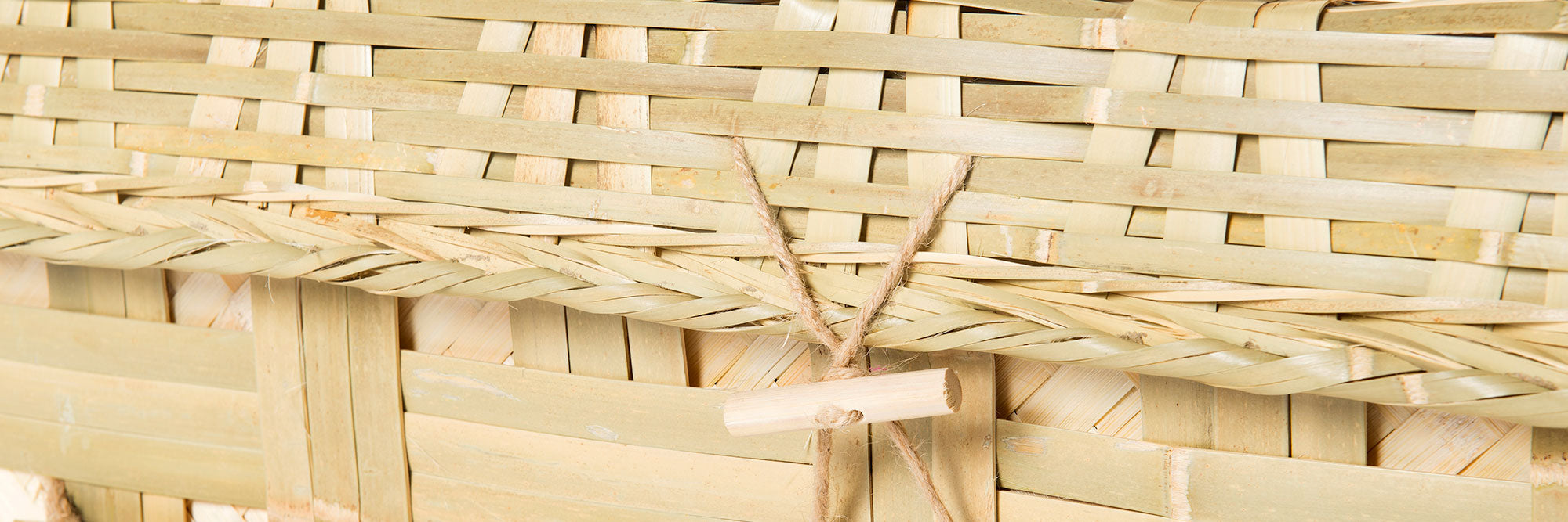 Bamboo