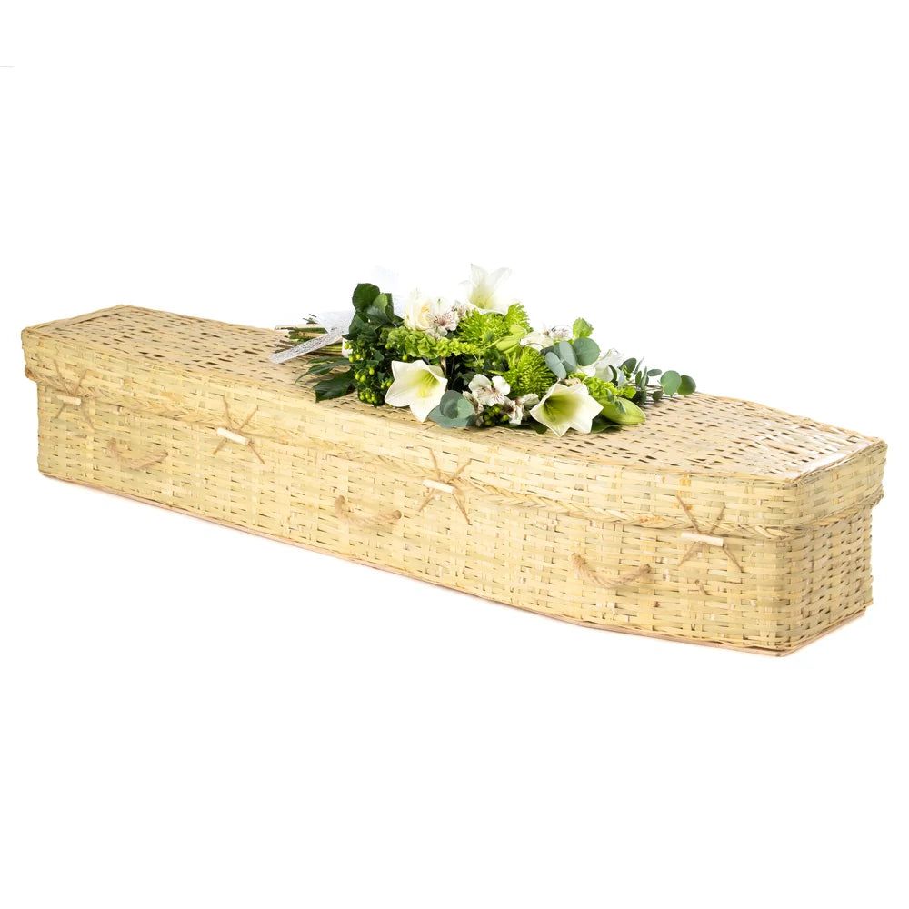 Bamboo Eco Traditional