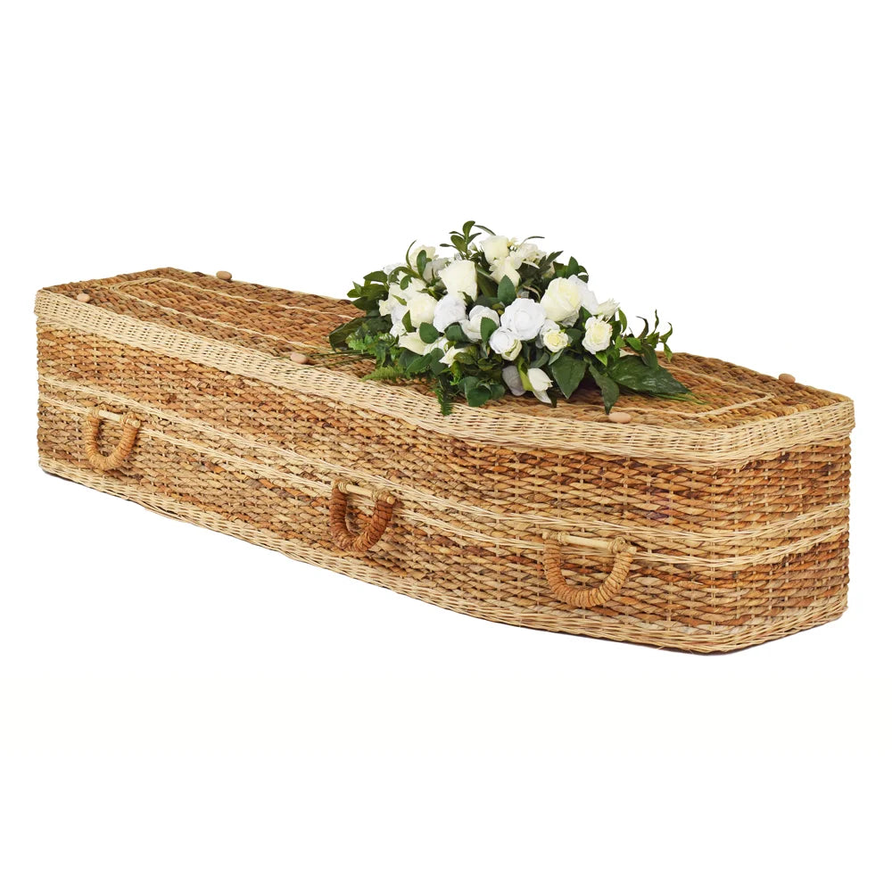 Banana Hazelfield Traditional