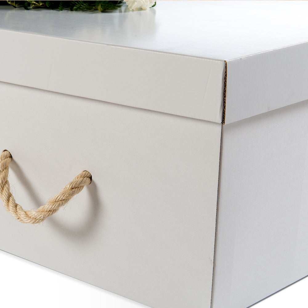 Cardboard White - Ecoffins