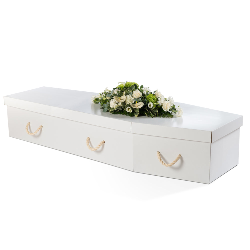 Cardboard White - Ecoffins