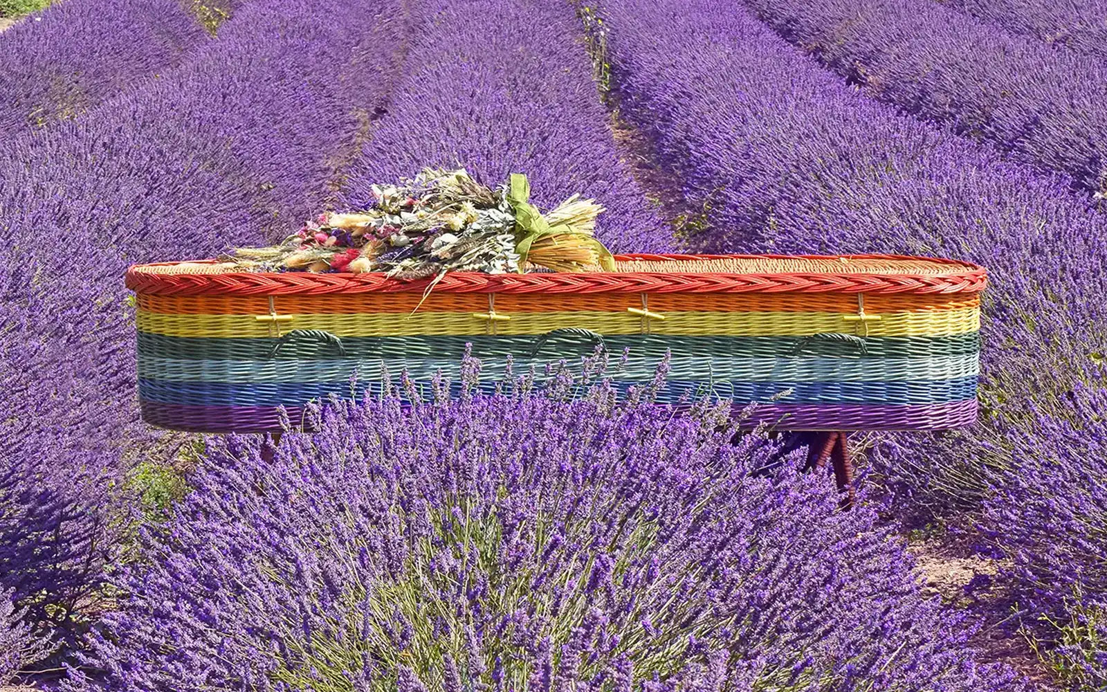 Ecoffins Colourful English Willow Rainbow wicker woven coffin with flowers in a lavendar field