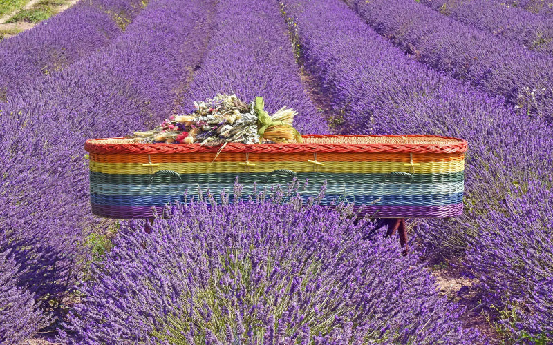 Ecoffins English Willow Rainbow Round coffin with flowers in a field of lavender