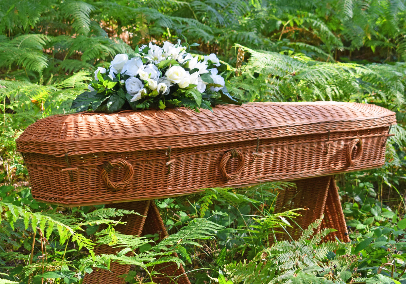 Willow Pod coffin in a shady forest surrounded by ferns