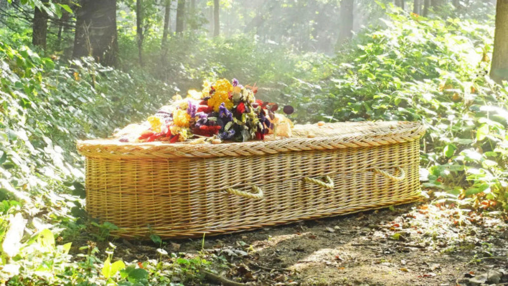 Ecoffins Kingsted Willow Round wicker coffin in a forest with flowers on top