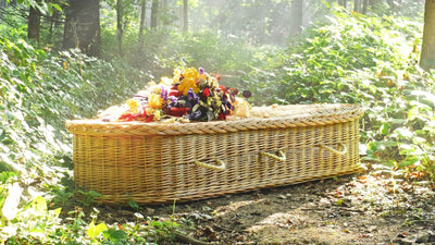 A Round ended willow coffin in a sunny wood