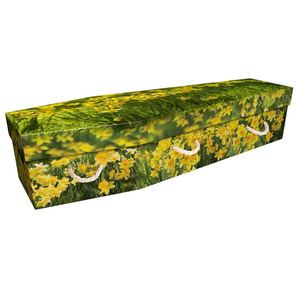 Standard Picture Coffins - Ecoffins