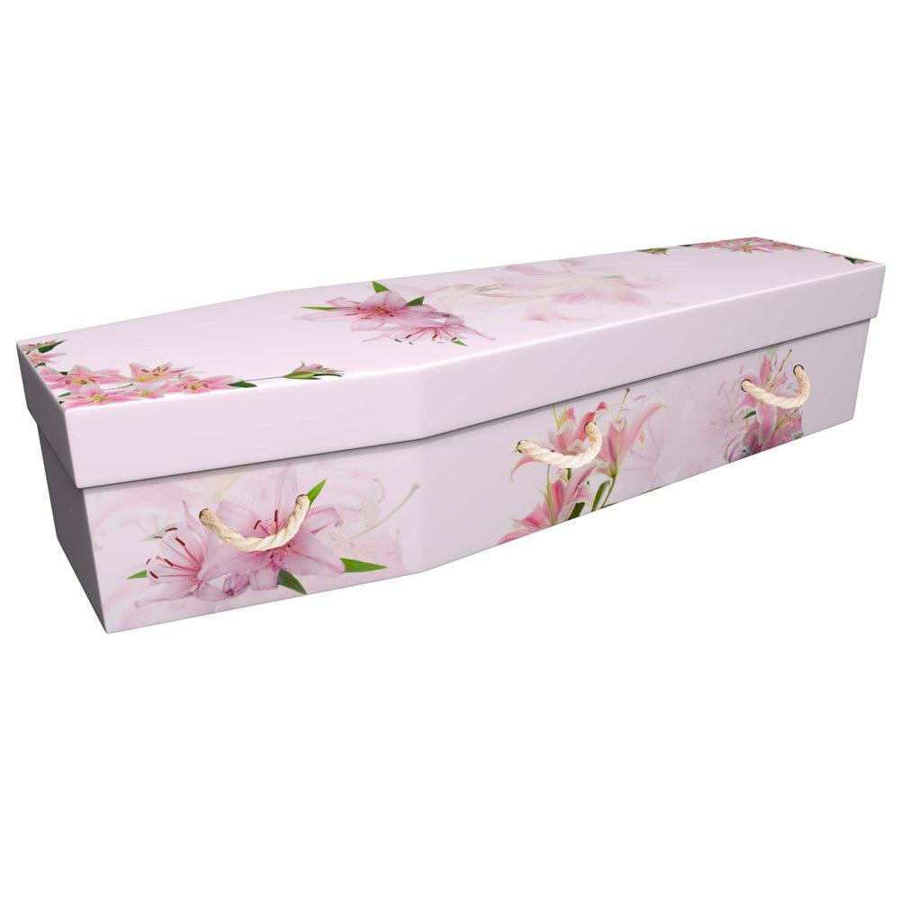 Standard Picture Coffins - Ecoffins