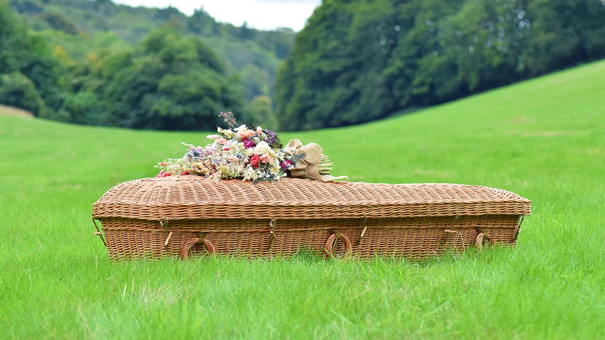 Willow Pod coffin in a green valley