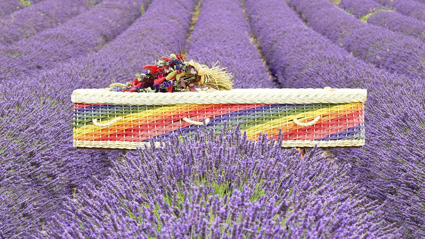 Rainbow design coffin in a lavender field