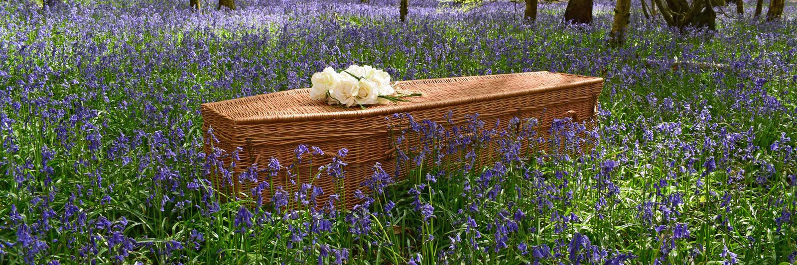 Willow Highsted in bluebells - Ecoffins