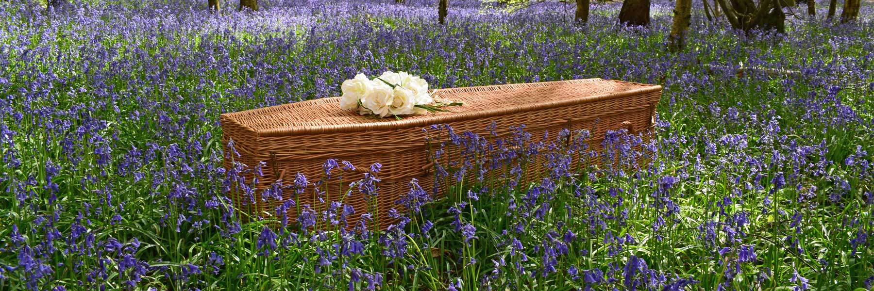 Willow Highsted in bluebells - Ecoffins