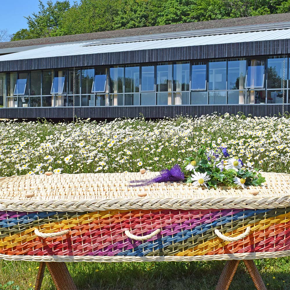 English Willow Rainbow with Daisies - Ecoffins
