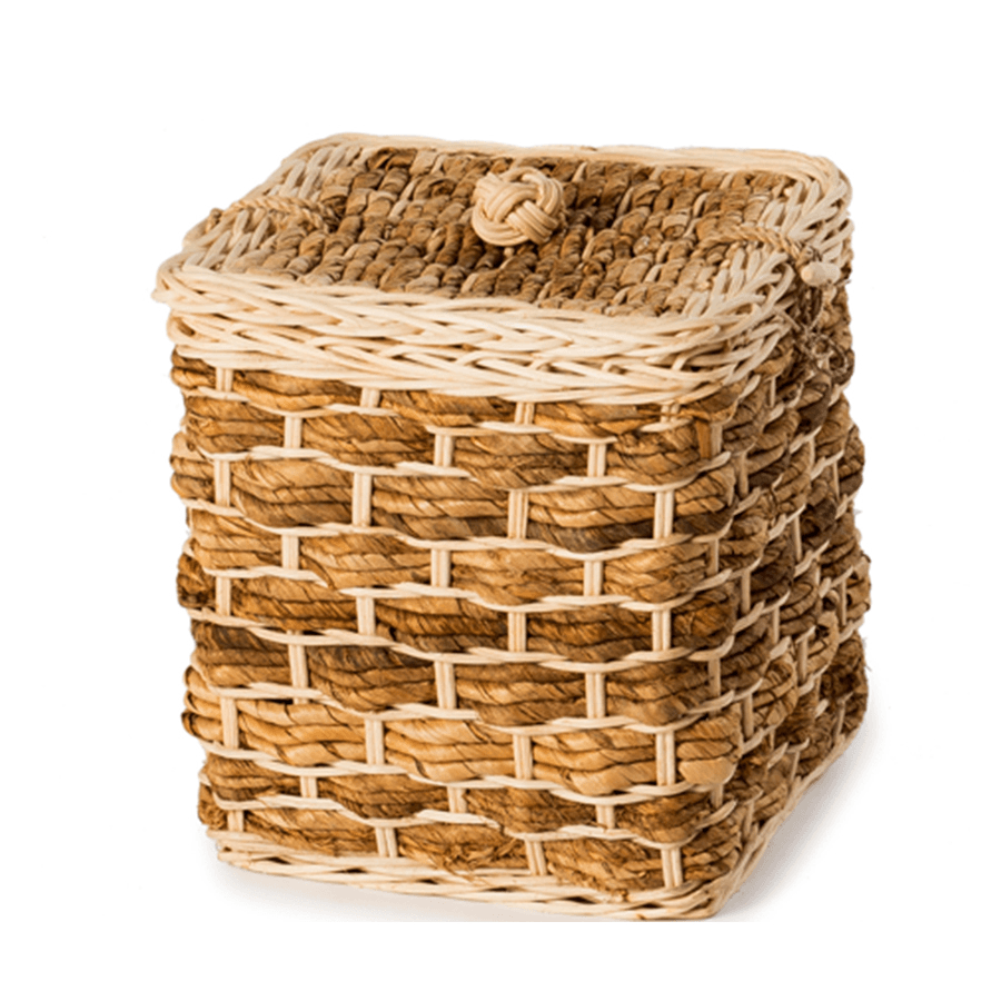 Banana Buttercup Ashes Casket - Ecoffins