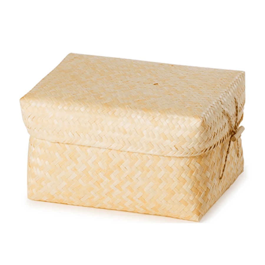 Bamboo Glade Ashes Casket - Ecoffins