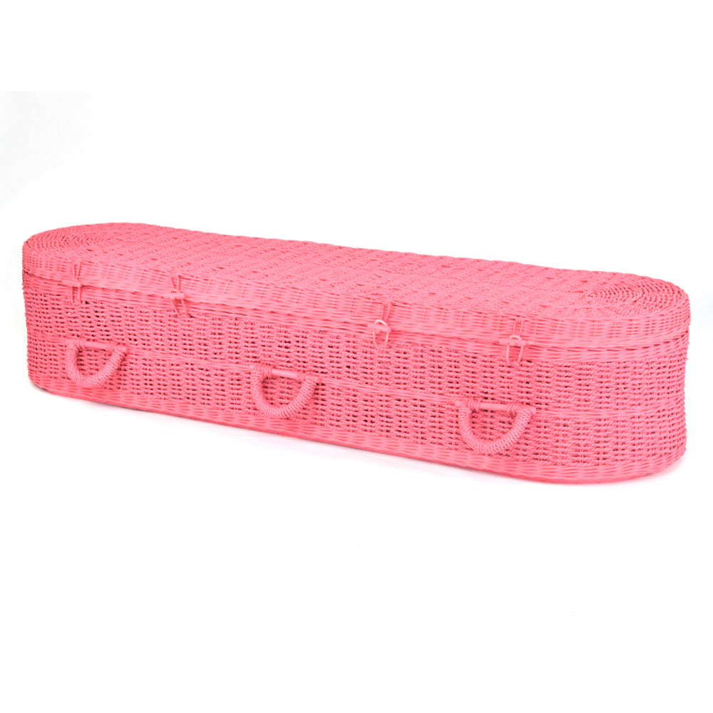 Bespoke Painted Coffin - Ecoffins