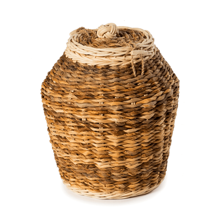 Banana Sunflower Ashes Casket - Ecoffins