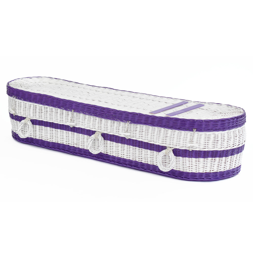 Bespoke Painted Coffin - Ecoffins