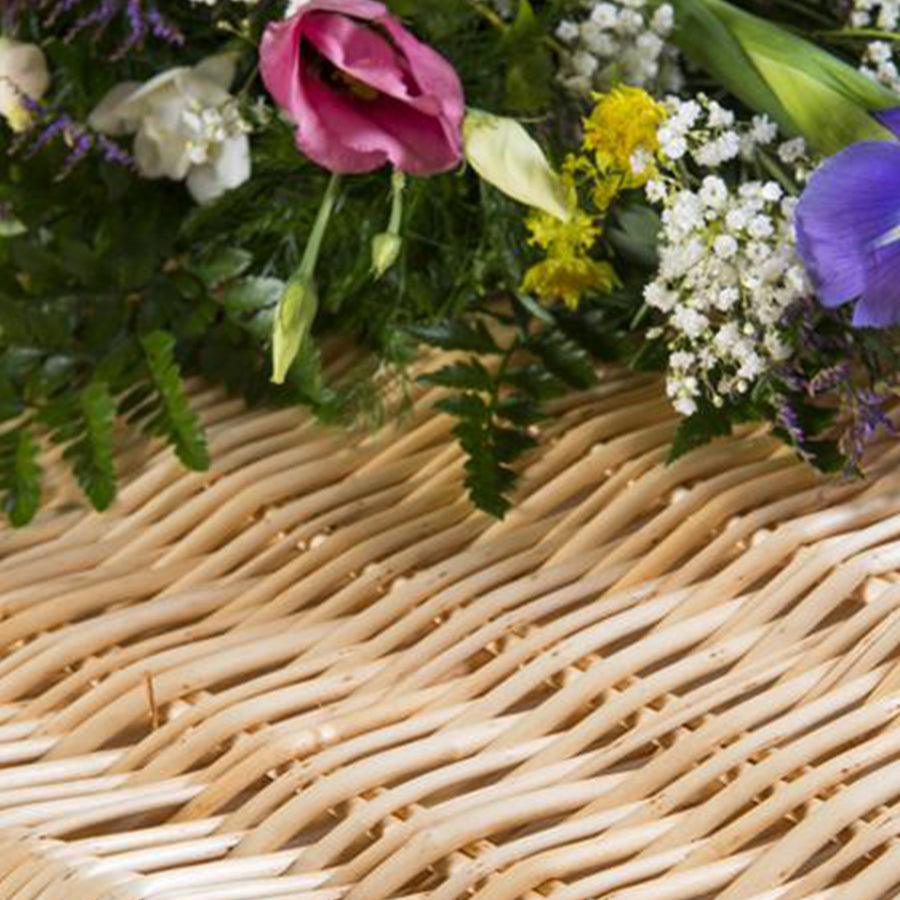 Willow Highsted Light - Ecoffins