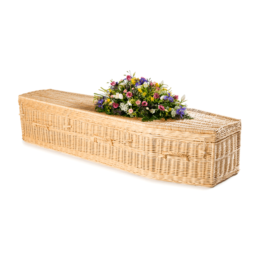 Willow Highsted Light - Ecoffins