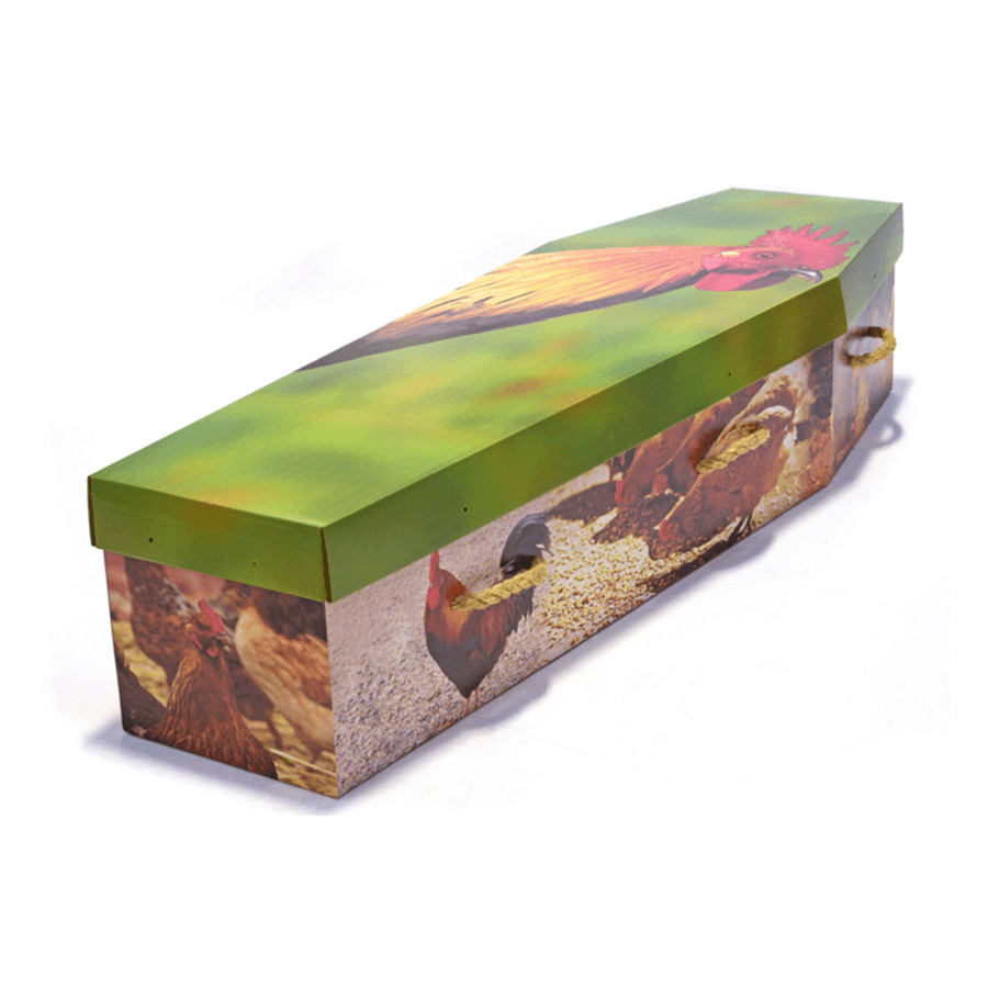 Cardboard Bespoke Picture Coffin - Ecoffins