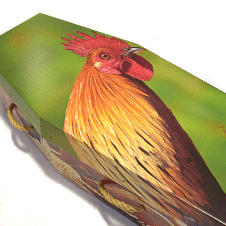 Cardboard Bespoke Picture Coffin - Ecoffins