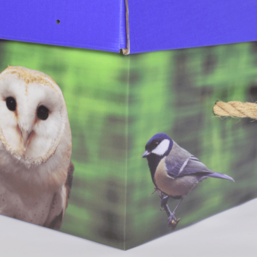 Cardboard Bespoke Picture Coffin - Ecoffins